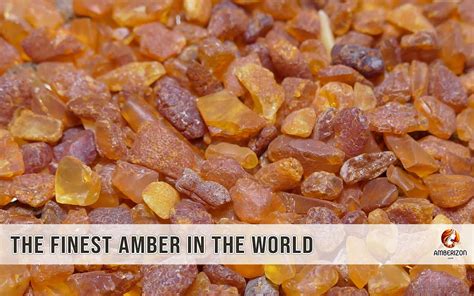 what is the best amber
